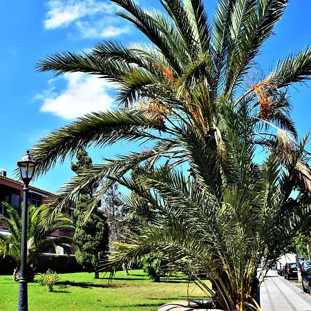 Апартаменты Victoria Family Tenerife *