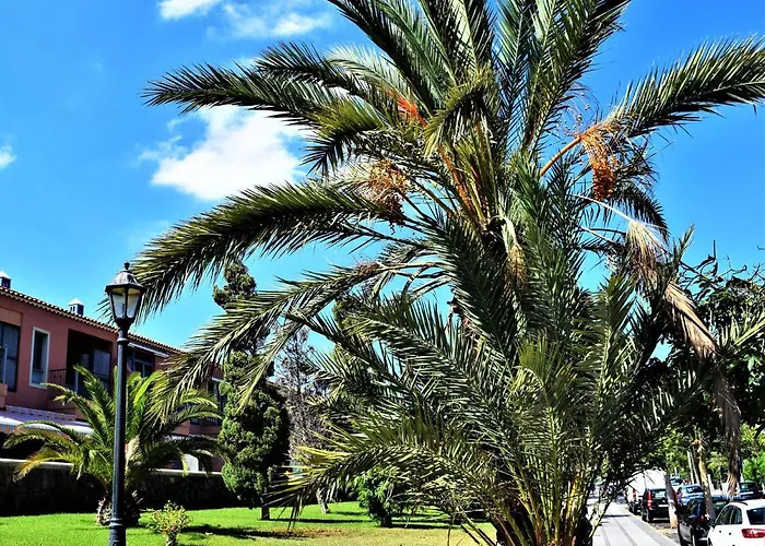 公寓 Victoria Family Tenerife *